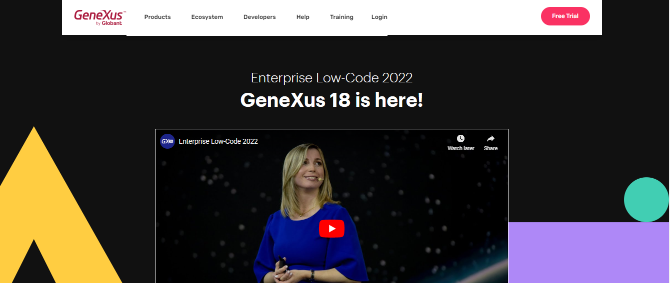 GeneXus screenshot 2