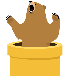 Tunnelbear background blur-sm