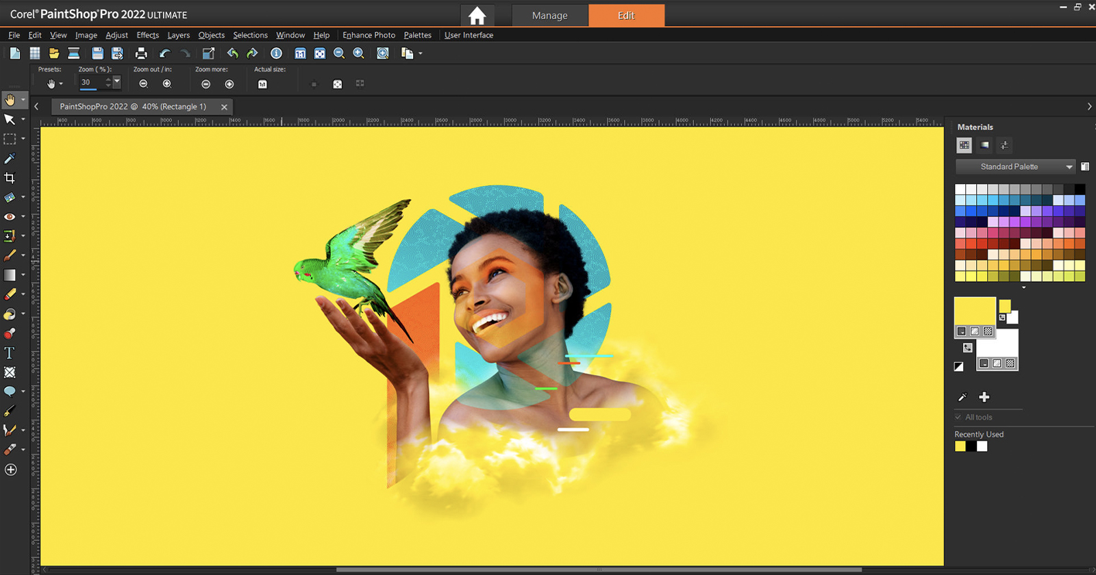 Corel PaintShop Pro screenshot 2