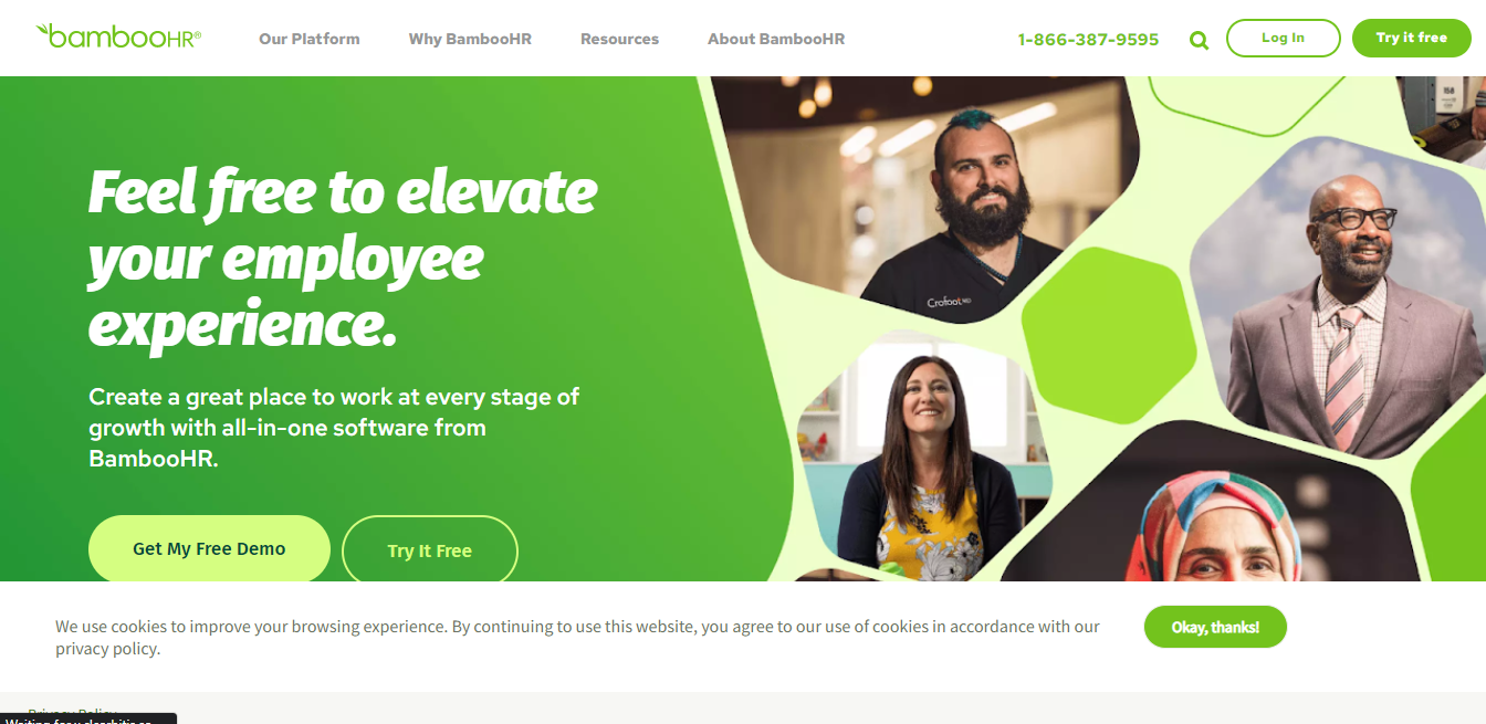 BambooHR screenshot 4