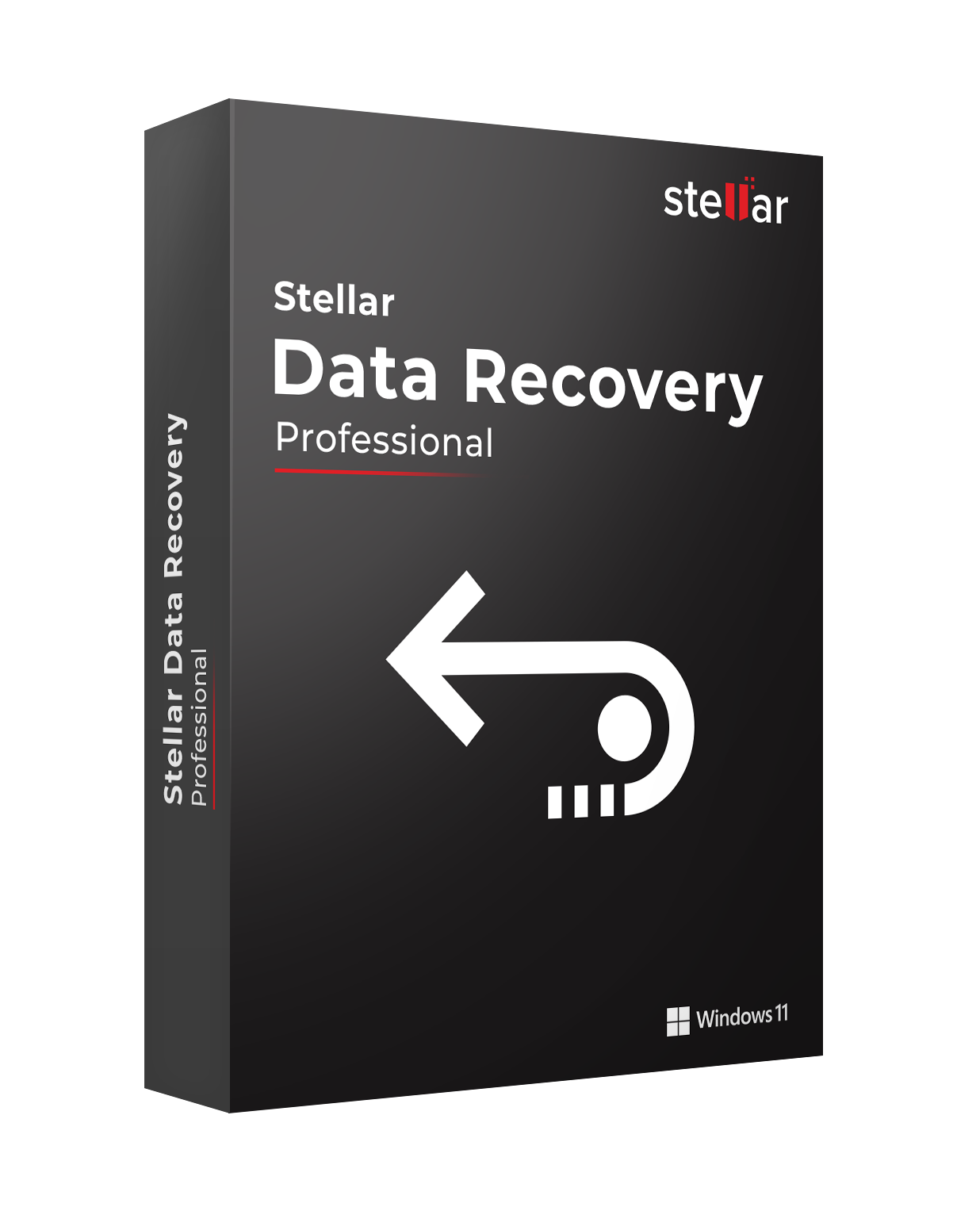 Stellar Data Recovery Professional 0