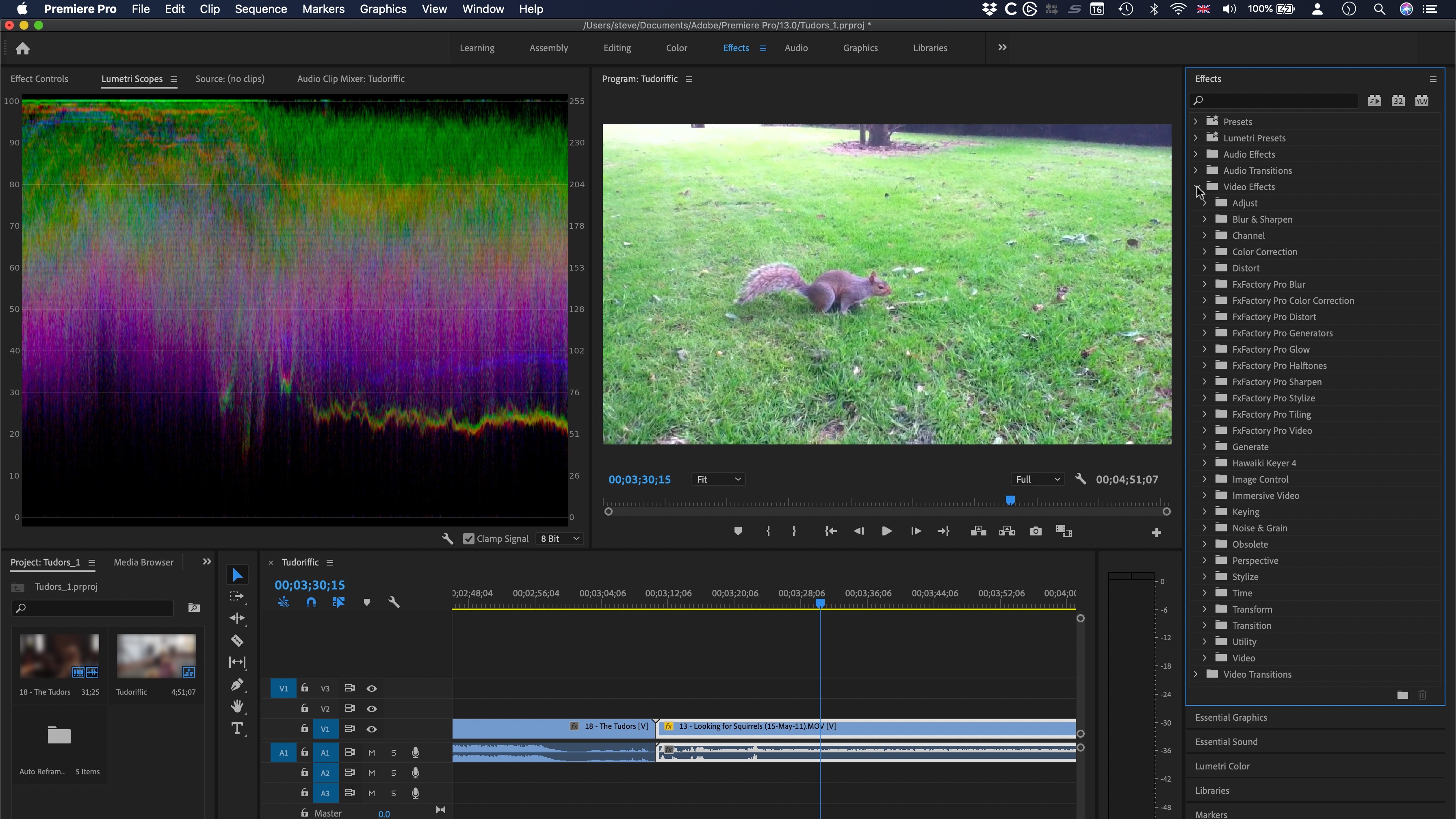 Adobe Premiere Pro 3