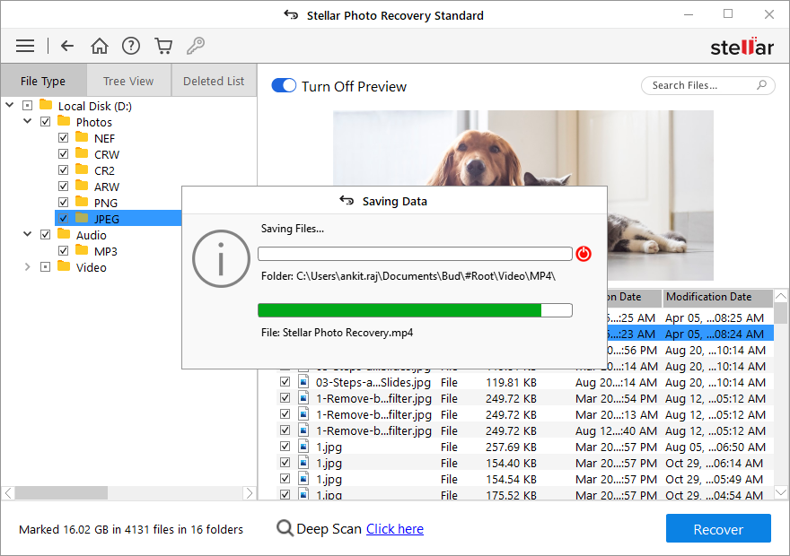 Stellar Photo Recovery screenshot 4