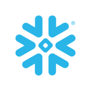 Snowflake background blur-sm