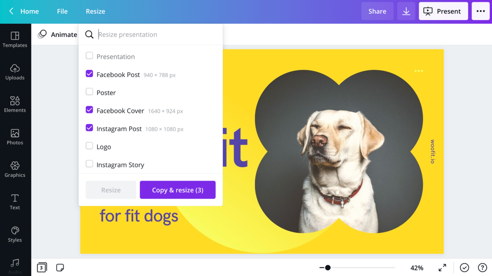Canva screenshot 5