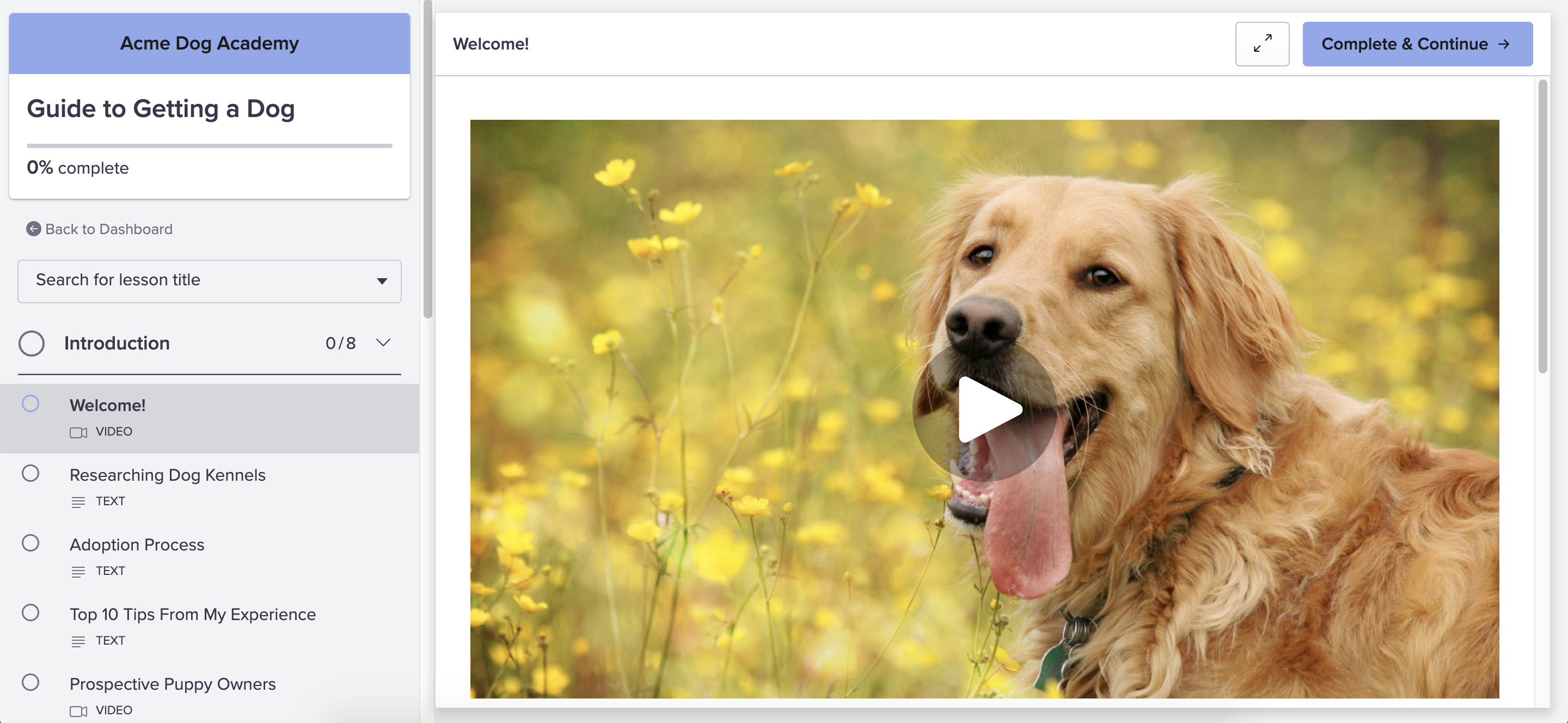 PayHip screenshot 2