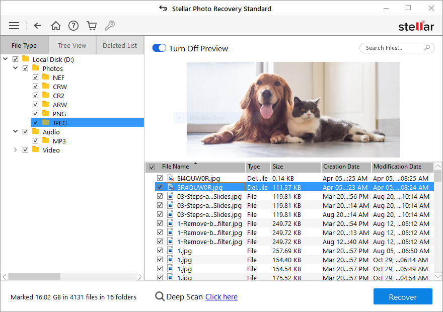 Stellar Photo Recovery screenshot 3
