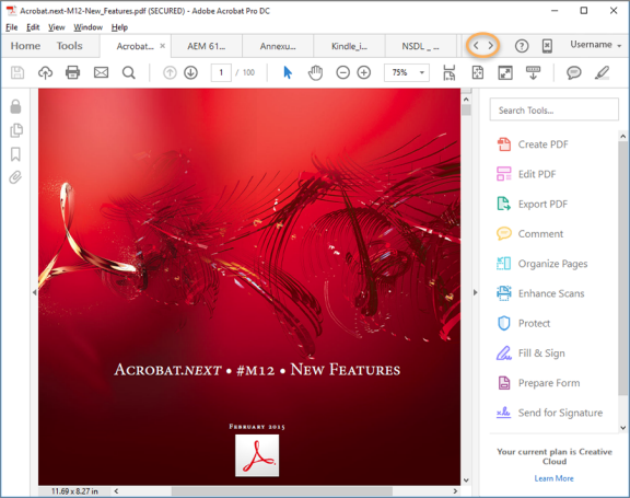 Adobe Acrobat DC 4